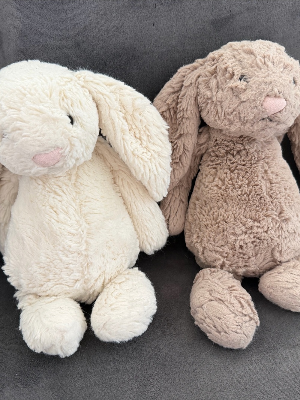 Jellycat Cream and Beige Bunny Toy Pair
